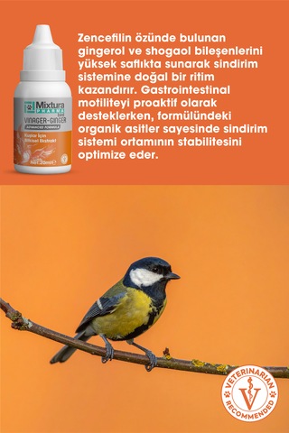 Mixtura Pharma Bird Vınager-gınger