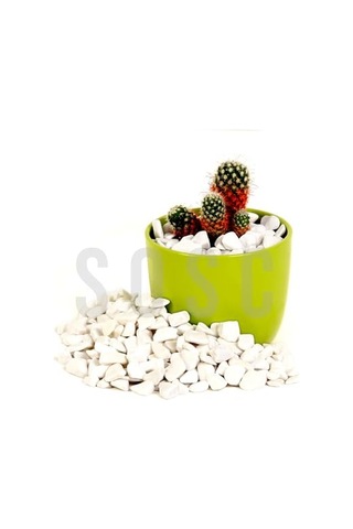Beyaz Çakıl Taşı Dolomit Taşı Bahçe Süsü Akvaryum Taşı Dere Çakıl Taşı 1-2 Cm 3 Kg
