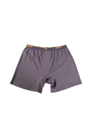 Black Horn Büyük Beden Boxer Battal Boy Likralı Boxer Gri