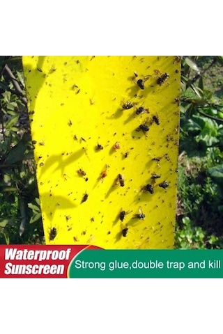 Zyzqstore 100 Adet Güçlü Meyve Sineği Tuzağı, Böcek Sarı Yapışkanlı Farklı Renklerde, 30-100 Adet