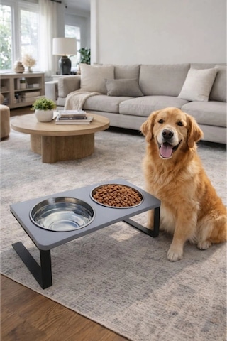 Reyo Ok-ay Store Radessa Xl Yüksek Standlı Çift Hazneli Mama Ve Su Kabı, Büyük Ve Orta Boy Köpek Ve Kedi Su Kabı Paslanmaz Çelik Gri