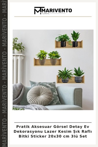 Pratik Aksesuar Görsel Detay Ev Dekorasyonu Lazer Kesim Şık Raflı Bitki Sticker 20x30 Cm 3lü Set Çok Renkli