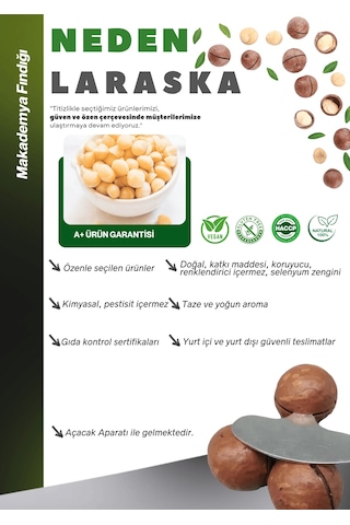 Kabuklu Kavrulmuş Makademya Fındığı 1kg Macadamia Nuts İn Shell 1 KG