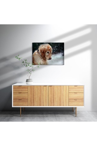Cakasepetim Golden Retriever Ve Kar Taneleri Ahşap Mdf Tablo