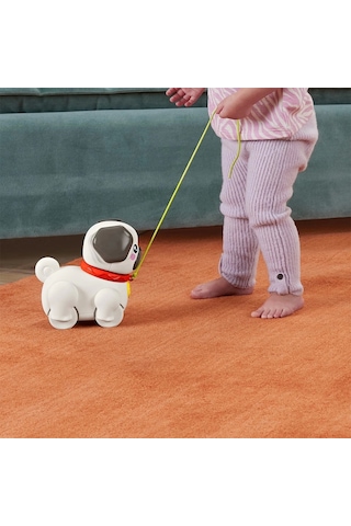 Fisher-Price Minik Dostumla Yürüyüş