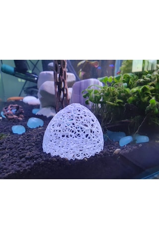 Karides Akvaryumu İçin Gözenekli Beyaz Saklanma Mağarası