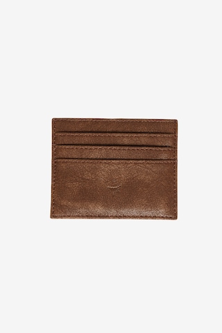 Ac&co / Altınyıldız Classics Erkek Vizon Kartlık Vizon