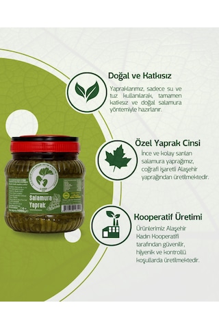 Salamura Yaprak 1 Kg