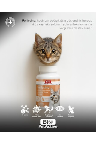 Bio Petactive Göz ve Sistemini Destekleyen Lizin Tablet Kedi Vitamini
