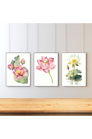 Suluboya Lotus Çiçeği 3'lü Japon Çiçek Çerçevesiz Poster 50 X 70