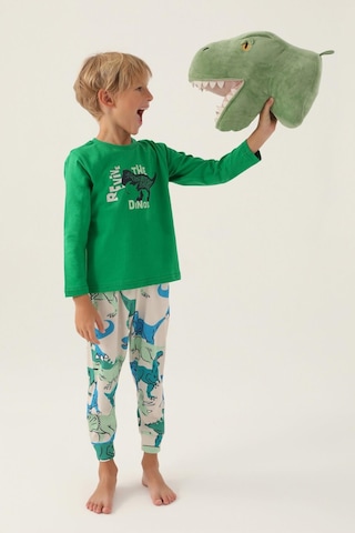 Roly Poly 3363 Revive Erkek Çocuk Pijama Takımı Yeşil