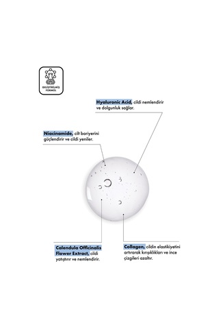 The Pova Hyaluronik Asit Nemlendirici ve Dolgunlaştırıcı Cilt Serumu – 30 ML