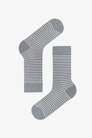 Penti Erkek Renkli Calm Stripes 3'lü Soket