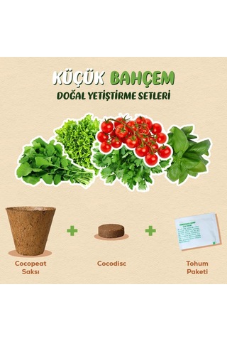 Küçük Bahçem Roka Tohumu Yetiştirme Seti