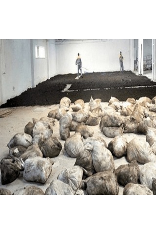 10 L Turkuvaz Bat Power Organik Sıvı Yarasa Gübresi