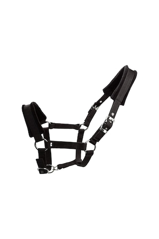 Suntek Kalınlaşmak Midilli At Boyundan Bağlamalı Baş Yaka At Çok Renkli