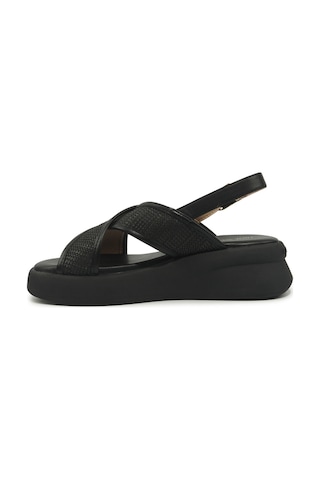 Nine West Vıta Siyah Kadın Kalın Taban Sandalet 000000000102051580