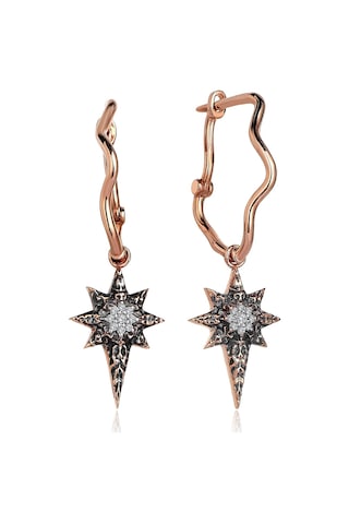 Reis Kuyumculuk T2049 North Earring