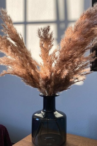 Gerçek Kuru Çiçek Pampas 7'li Paket Çok Renkli
