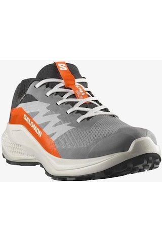 Salomon Alphaglıde Gore-tex Casrlerock Lunar Rock Erkek Koşu/spor Ayakkabısı Gri