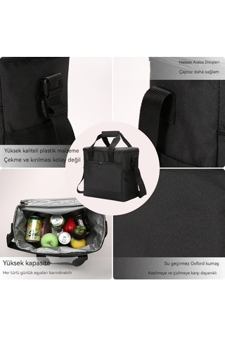 Dinosaurs Lifee Taşınabilir Piknik Çantası Termal Yalıtımlı Gıda Konteyner Soğutucu Çanta Açık Kırmızı Kırmızı Şarap Için Altın