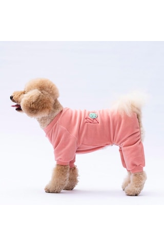 Pawstar Rose Bonjour Kadife Küçük Irk Köpek Tulumu