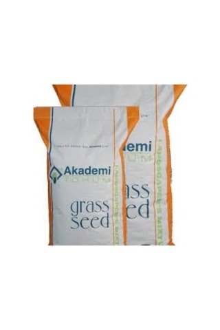 Akademi Tohum 1 KG Fare Kulağı Dıchondra Repens Çim Tohumu