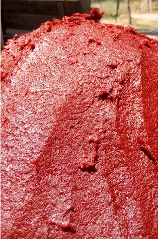 Biber Salçası 1 KG