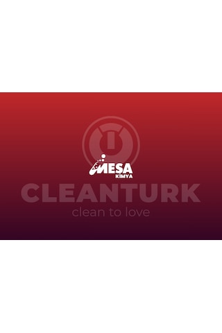 Betonix Beton Sökücü Kimyasal Kurumuş Beton Ve Harç Temizleyici 1 Lt Sprey