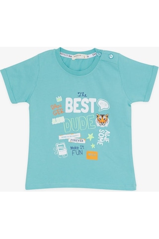 Breeze Girls & Boys Erkek Çocuk Şortlu Takım Kaplan Baskılı 1-4 Yaş, Mint Yeşili-mint Yeşili Mint Yeşili