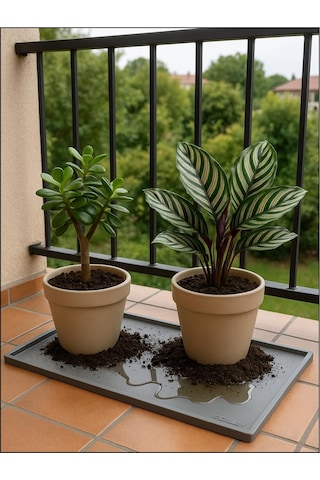 Silikon Saksı Altlığı Ve Viyol Tepsisi 60x40 Cm - Su Geçirmez Bitki Koruyucu Mat, Fide Yetiştirme Ve Çiçek Altlığı, Yükseltilmiş Kenarlı Saksı Tabla