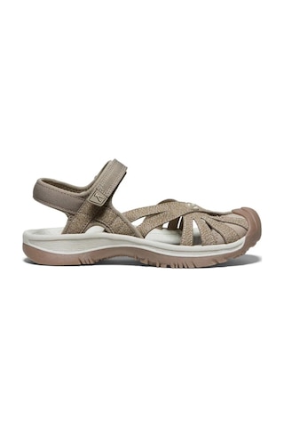 Keen Rose Kadın Sandalet Çok Renkli