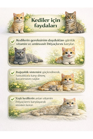 Clovit Multivit kediler için multivitamin ve amino asit takviyes