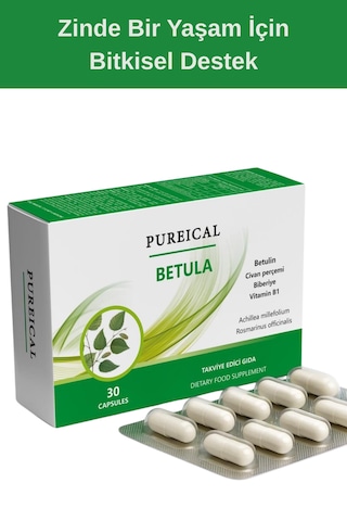 Pureıcal Betula Huş Ağacı Özü Betulin Civan Perçemi Biberiye B1 Vitamini 30 Kapsül