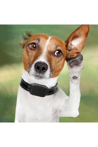 Homyl Köpek Durdurma Kabuğu Tasması Eğitmeni Eğitim Cihazı