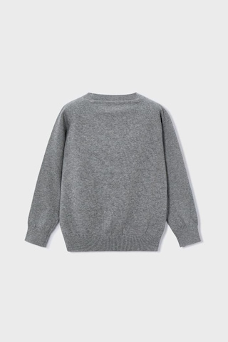 Erkek Çocuk Reglan Kollu Basic Triko Kazak - Gri Gri