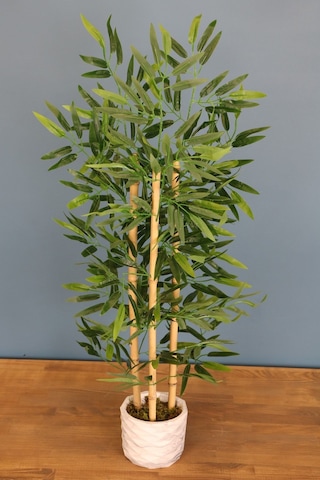 Bambu Ağacı 110 Cm 3 Gövdeli
