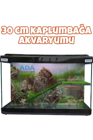Ada Akvaryum Su Kaplumbağası Akvaryumu Bahçeli Rampalı Dinlenme 30x23x15 Cm Arka Plan Hediyeli