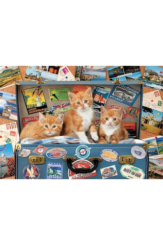 Educa 200 Parça Gezgin Yavru Kediler Puzzle 1 Adet