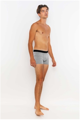 Redowl Baykuş Baskılı Gri 2'Li Boxer Gri