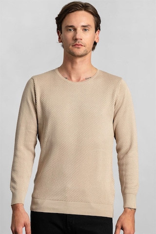 Tudors Slim Fit Dar Kesim Bisiklet Yaka Petek Desenli Erkek Kazak-22065 Krem