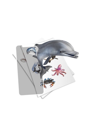 Holotoyz Sticker Super Sea Creatures Ar Uyumlu Etiket
