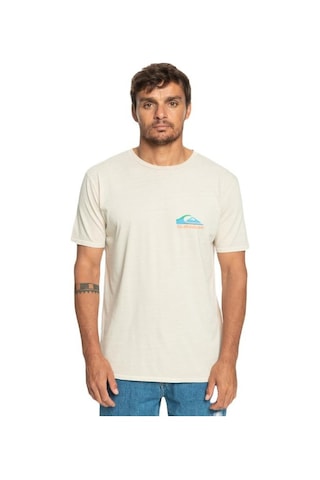 Quiksilver Eqyzt07252-wdw0 Pastimeparadise M Tees Erkek T-shirt 001