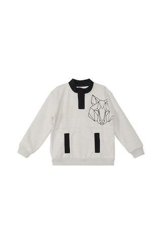 Denokids Mshb&g Kurt Erkek Çocuk Sweatshirt - Gri