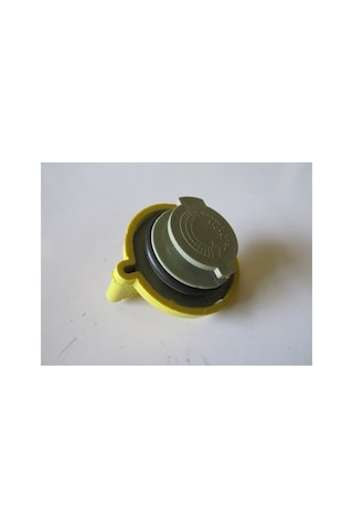 Renault Scenıc- 00/03 Motor Yağ Kapağı Benzinli 1,6 16v/2,0 16v 52,40mm Sarı 8200062947 31642813