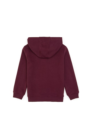 U.s. Polo Assn. Erkek Çocuk Plum Hırka Örme 50313844-vr177 New Plum