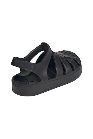Js2844-c Adidas Superstar Sandal C Çocuk Terlik Siyah Js2844-c Siyah