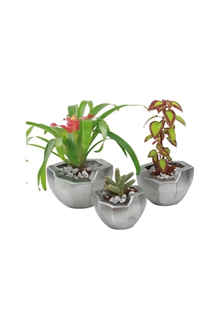 Saksı Çiçek Kaktüs Saksısı Lüx 15 Cm Önü Açık Desenli 3'lü Set Çiçeklik - Gümüş Eskitme