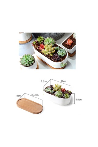 Jeehugo Beyaz Seramik Oval Sukulent Ve Kaktüs Saksısı, Bambü Tabaklı, Ev Ofis Masaüstü İçin, 2'li Set Saksı + Tabak , Bitki Yok
