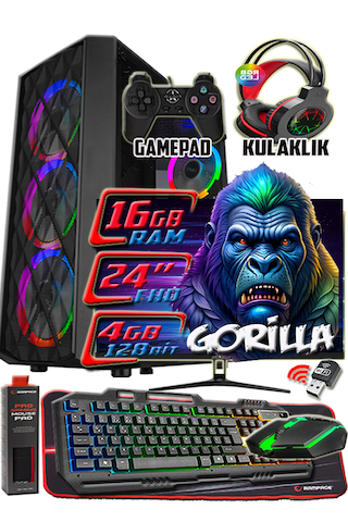 Warbox Gorilla Xeon X5650 16 GB 256 GB SSD + 250 GB HDD R7240 4 GB 22" W10P Masaüstü Bilgisayar